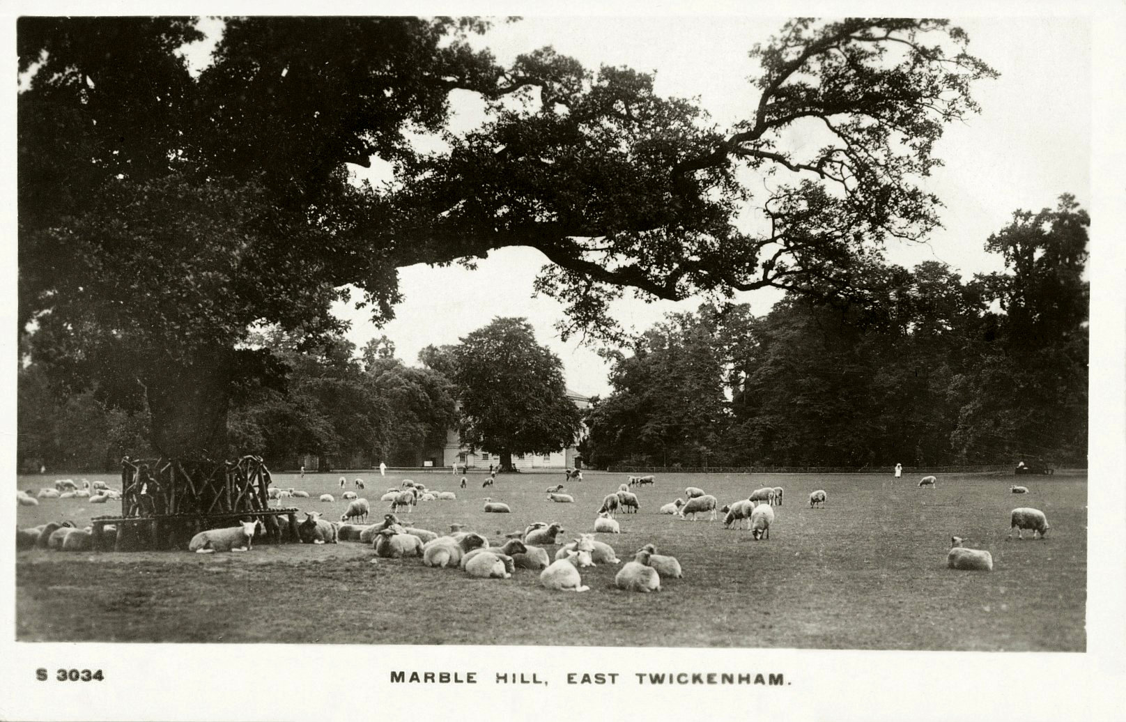 Twickenham Marble Hill Park,park-countryside